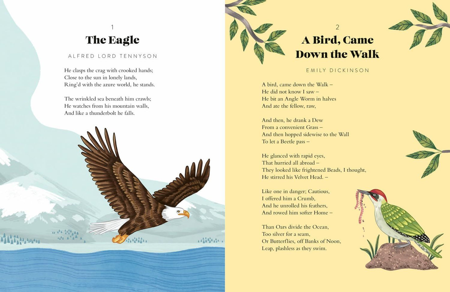 A Year Of Animal Poems