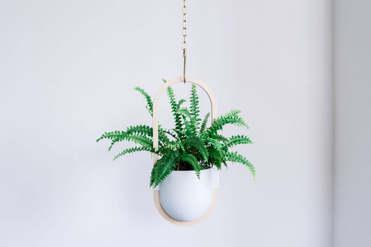 3D Printed Hanging Planter