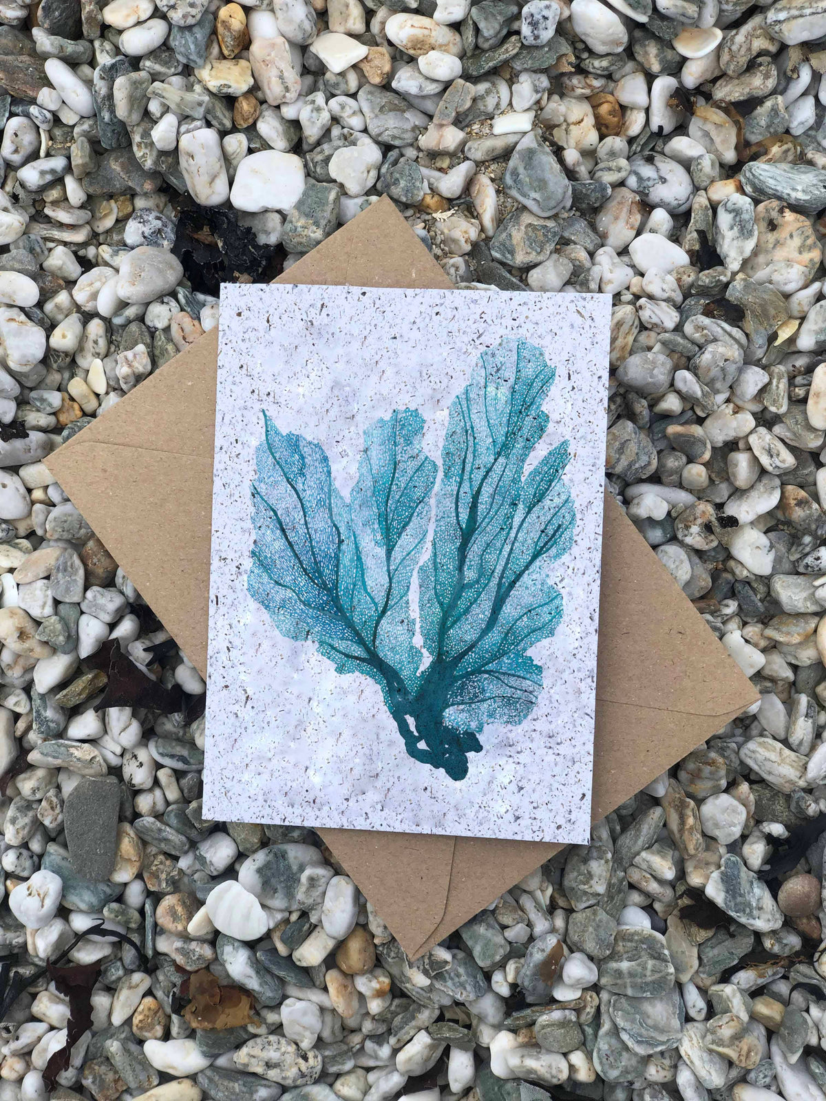 Sea Fan Card