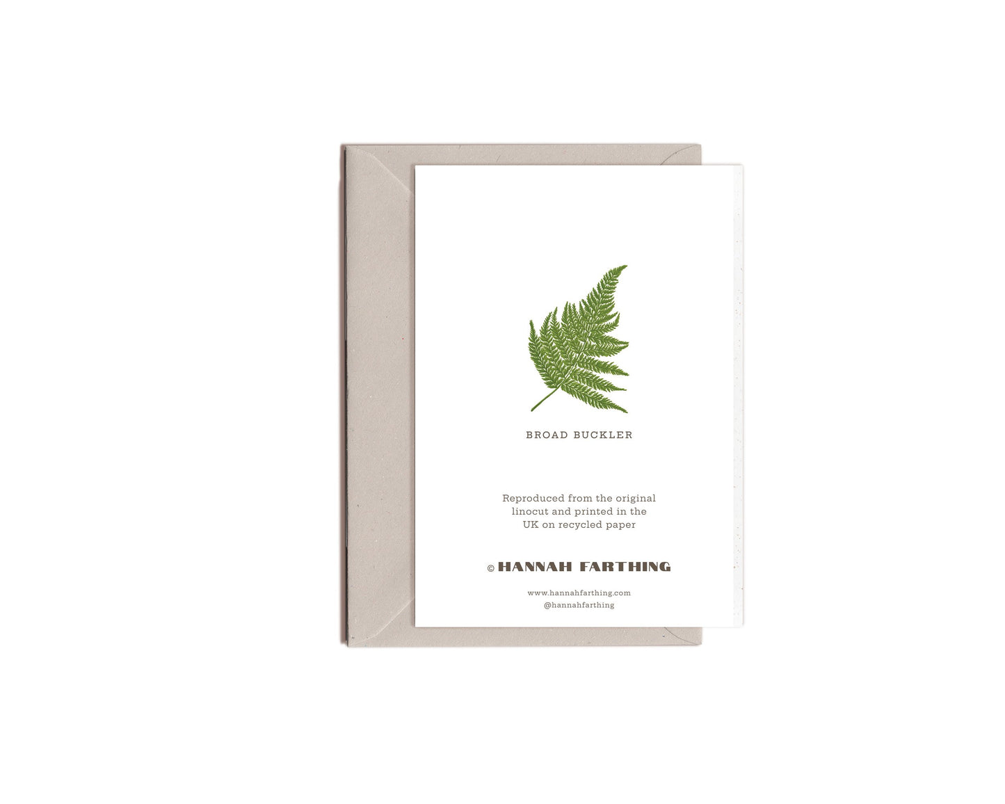 Broad Buckler Fern Card