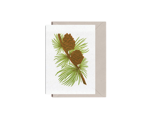 Larch Card