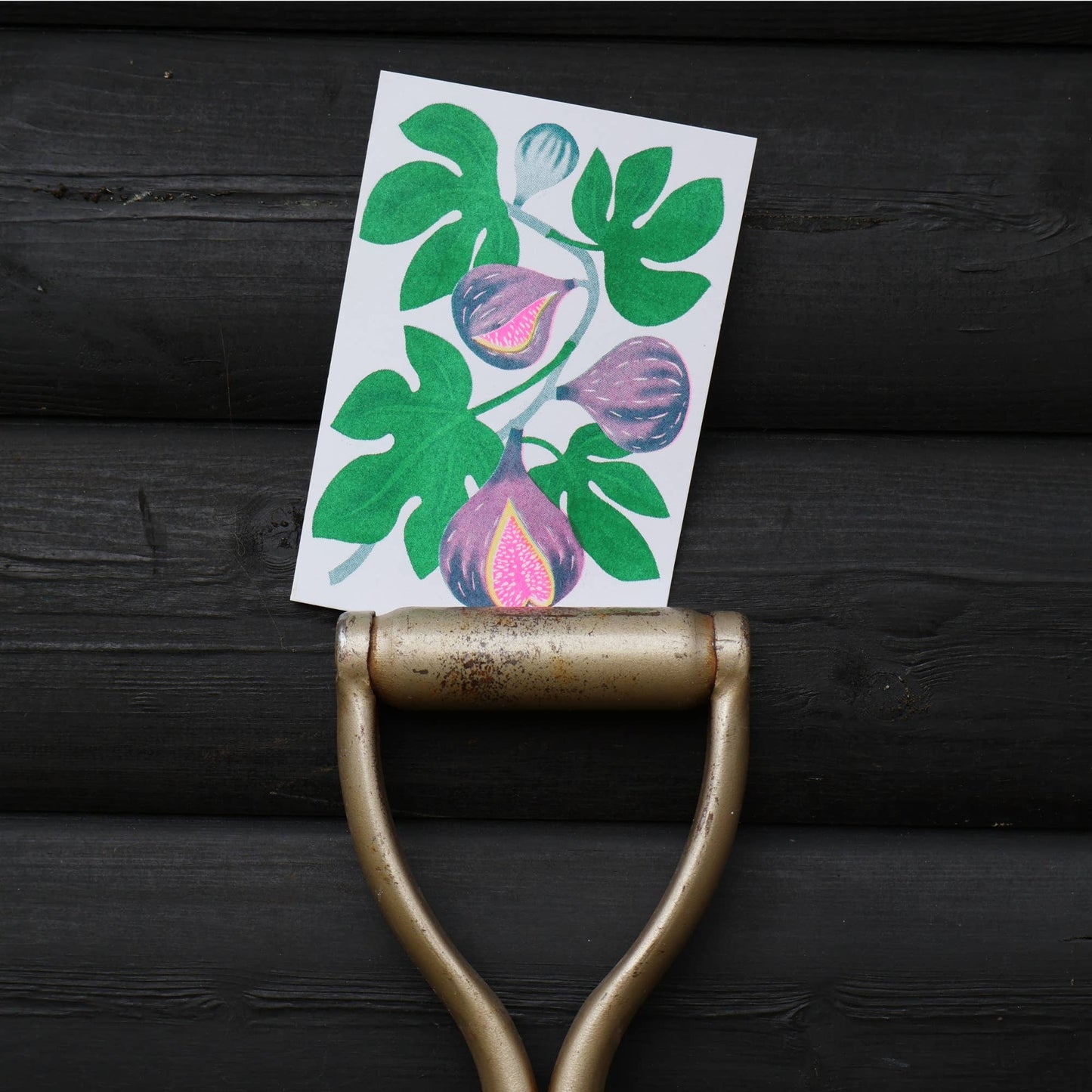 Fig Risograph Card