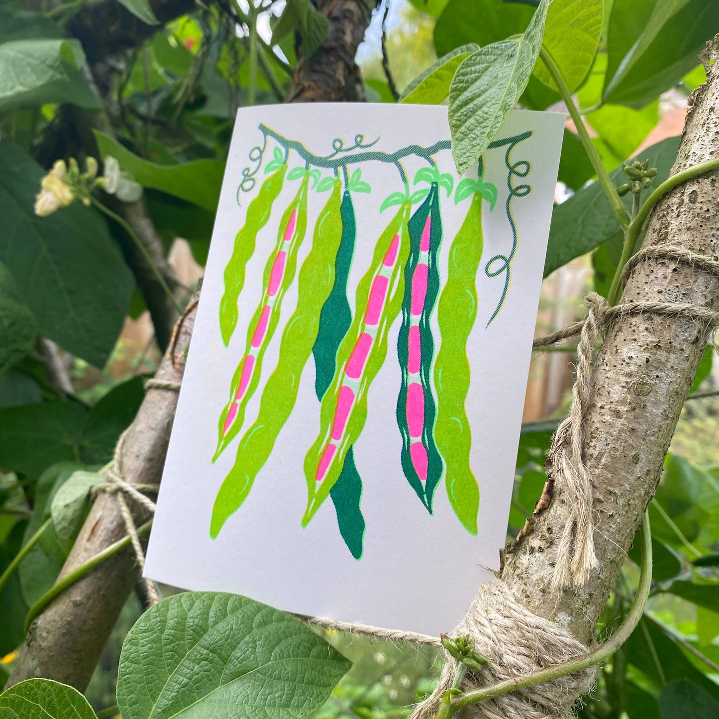 Beans Risograph Card