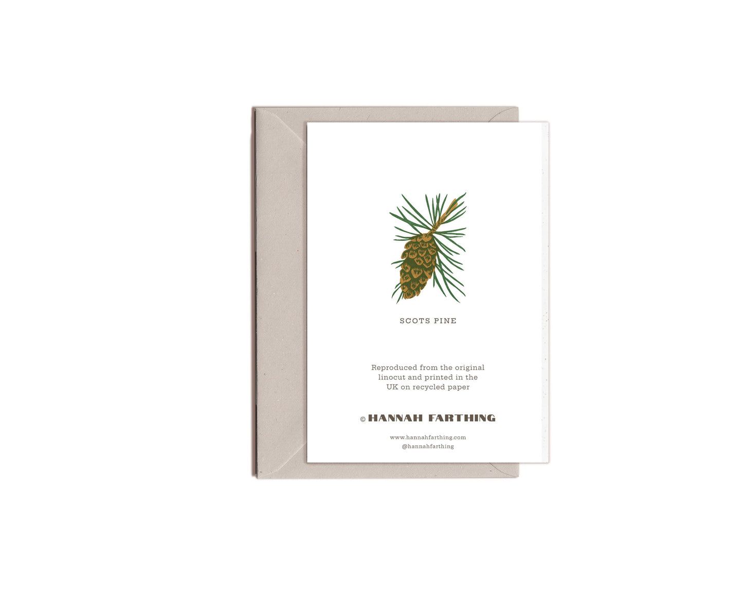 Scots Pine Card
