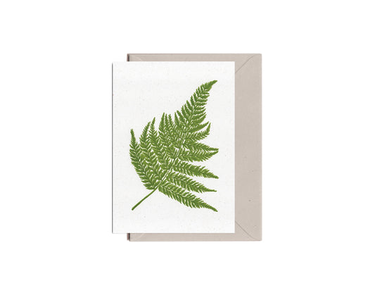 Broad Buckler Fern Card