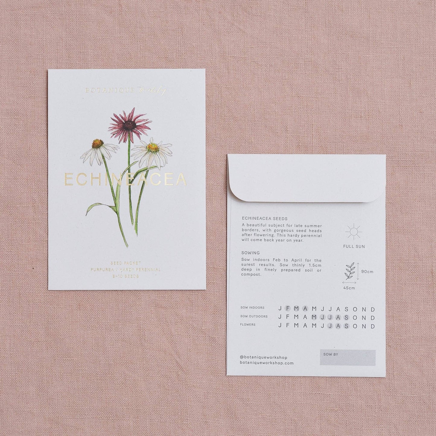 Echineacea Purpurea Seed Packet