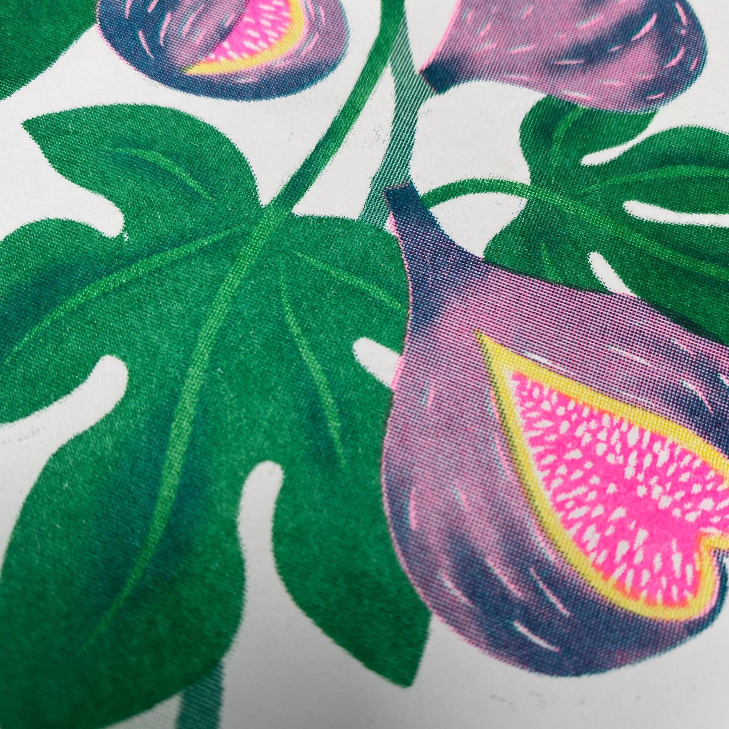 Fig Risograph Card
