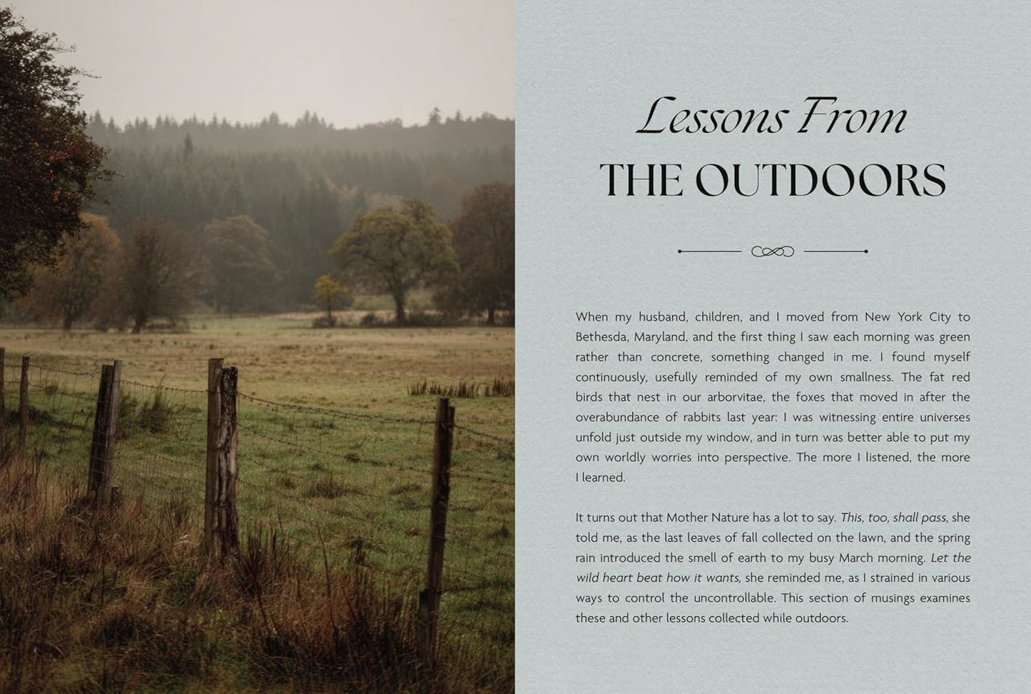 Small Wonders - A Feild Guide To Life’s Quiet Joys