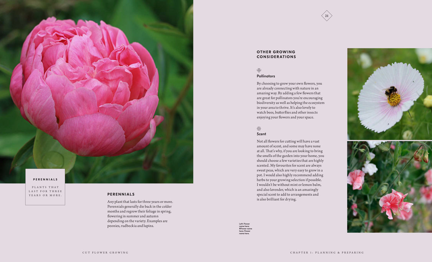 Cut Flower Growing