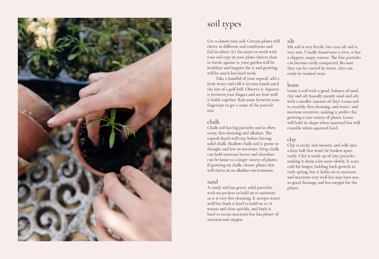 The Growers Guide: Seeds