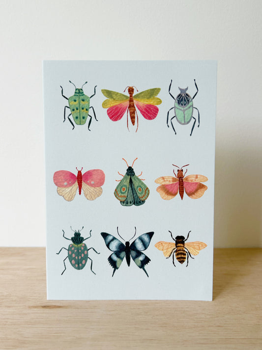 Bug Collection Card