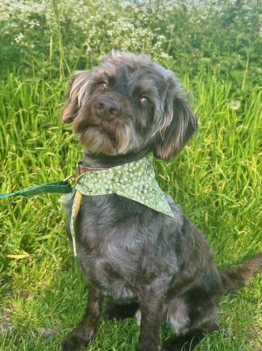 Daisies Reversible Dog Bandana