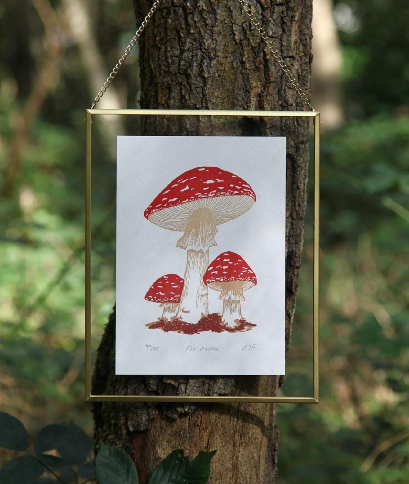 Fly Agaric Print