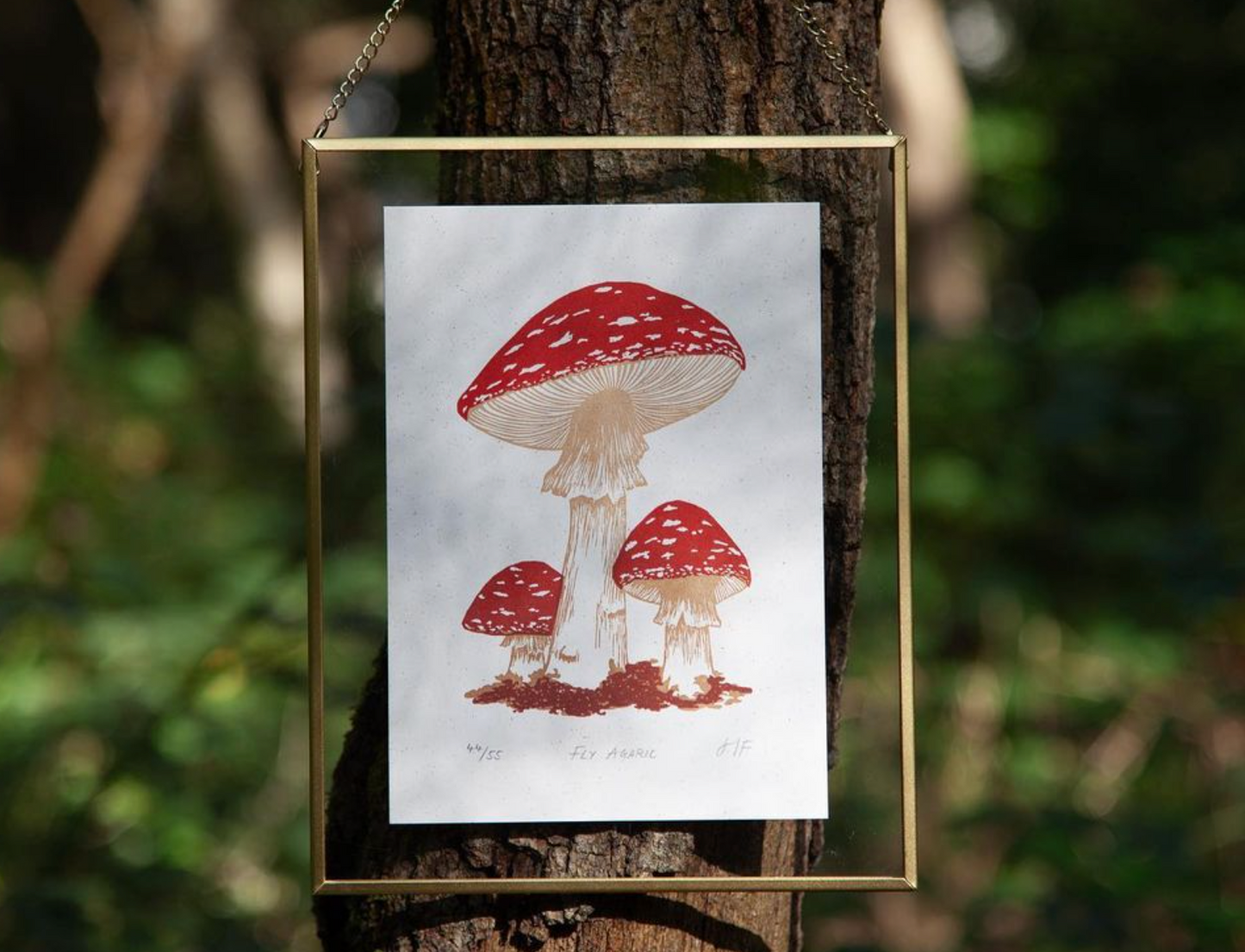 Fly Agaric Print