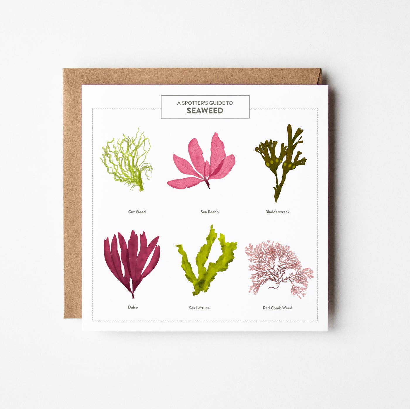 Seaweed Greetings Card