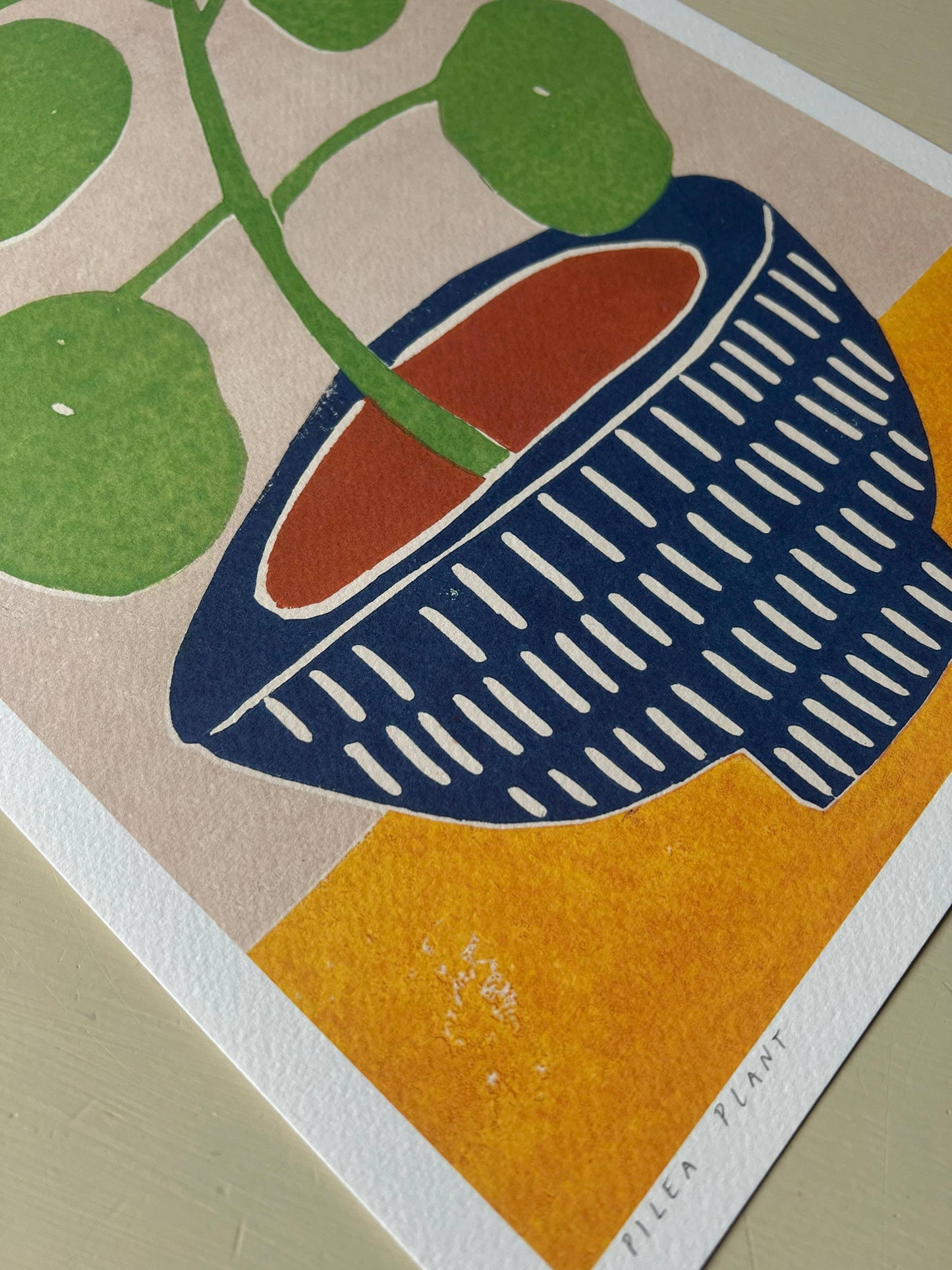 Art Print 'Pilea Plant'