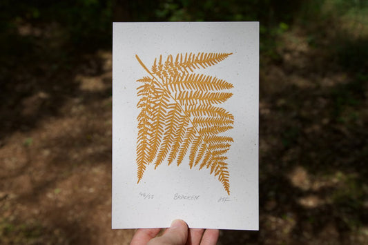 Bracken Fern Print