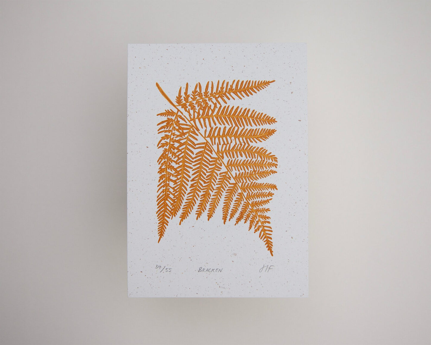 Bracken Fern Print