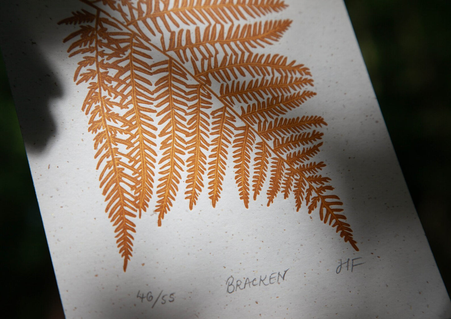 Bracken Fern Print