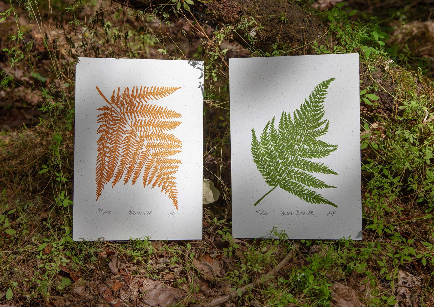 Bracken Fern Print