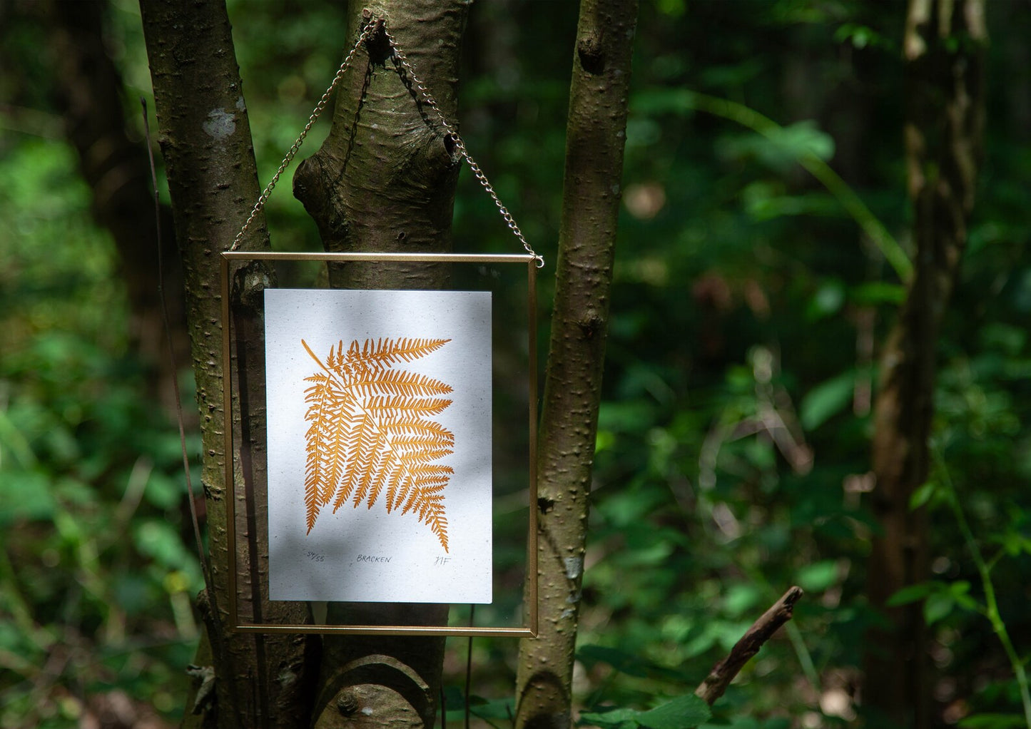 Bracken Fern Print