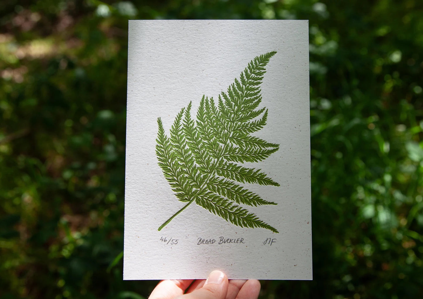 Broad Buckler Print