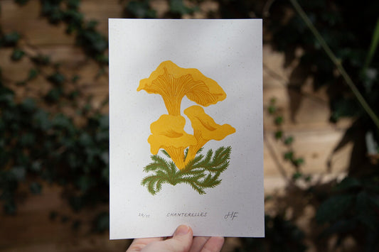 Chanterelles Print