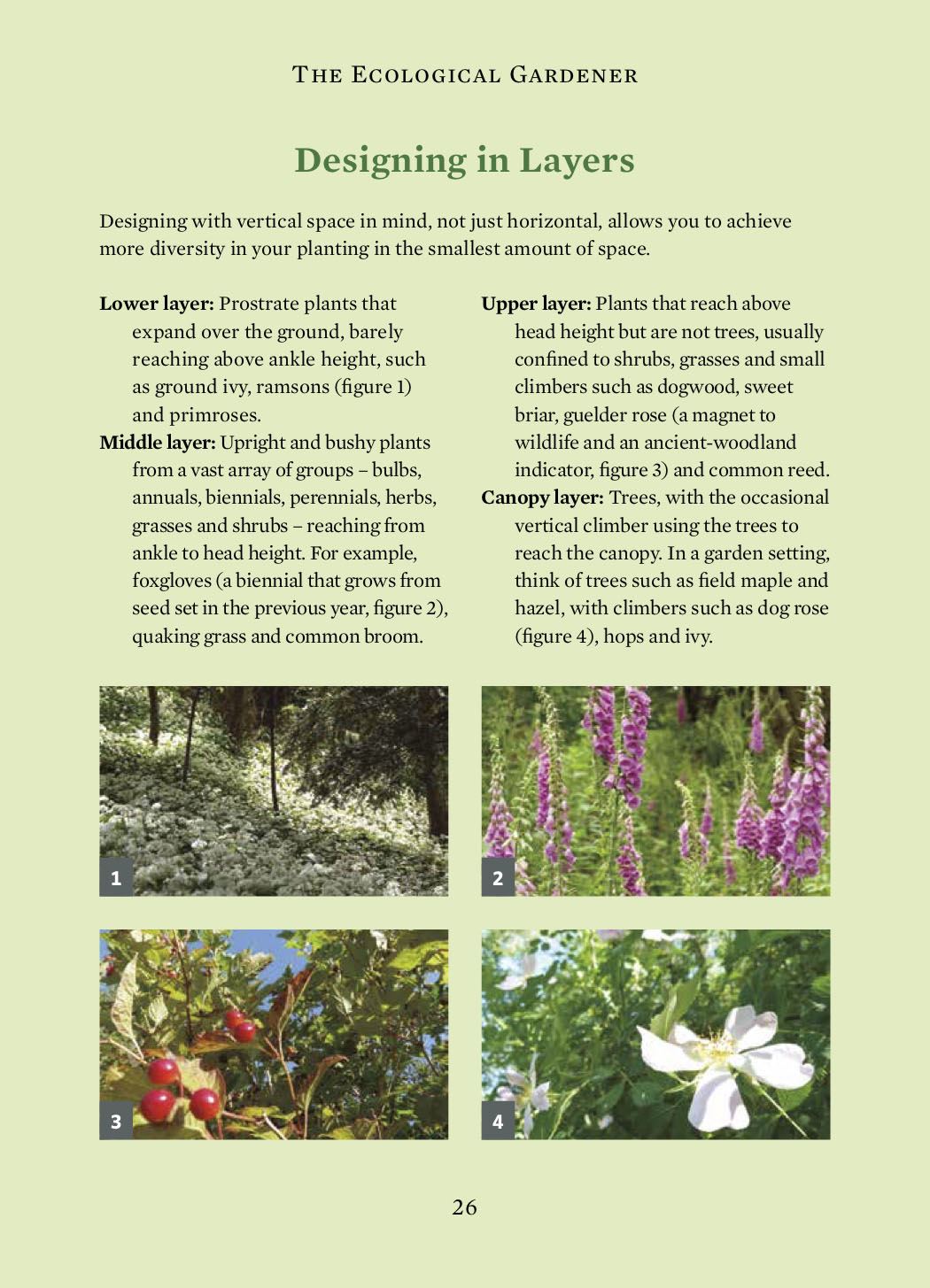 Ecological Gardener