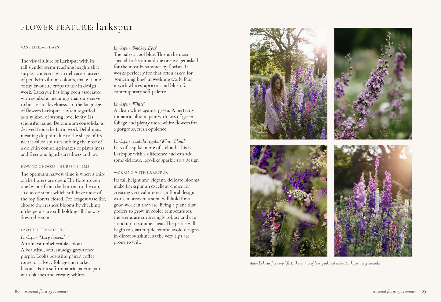 The Growers Guide: Floristry