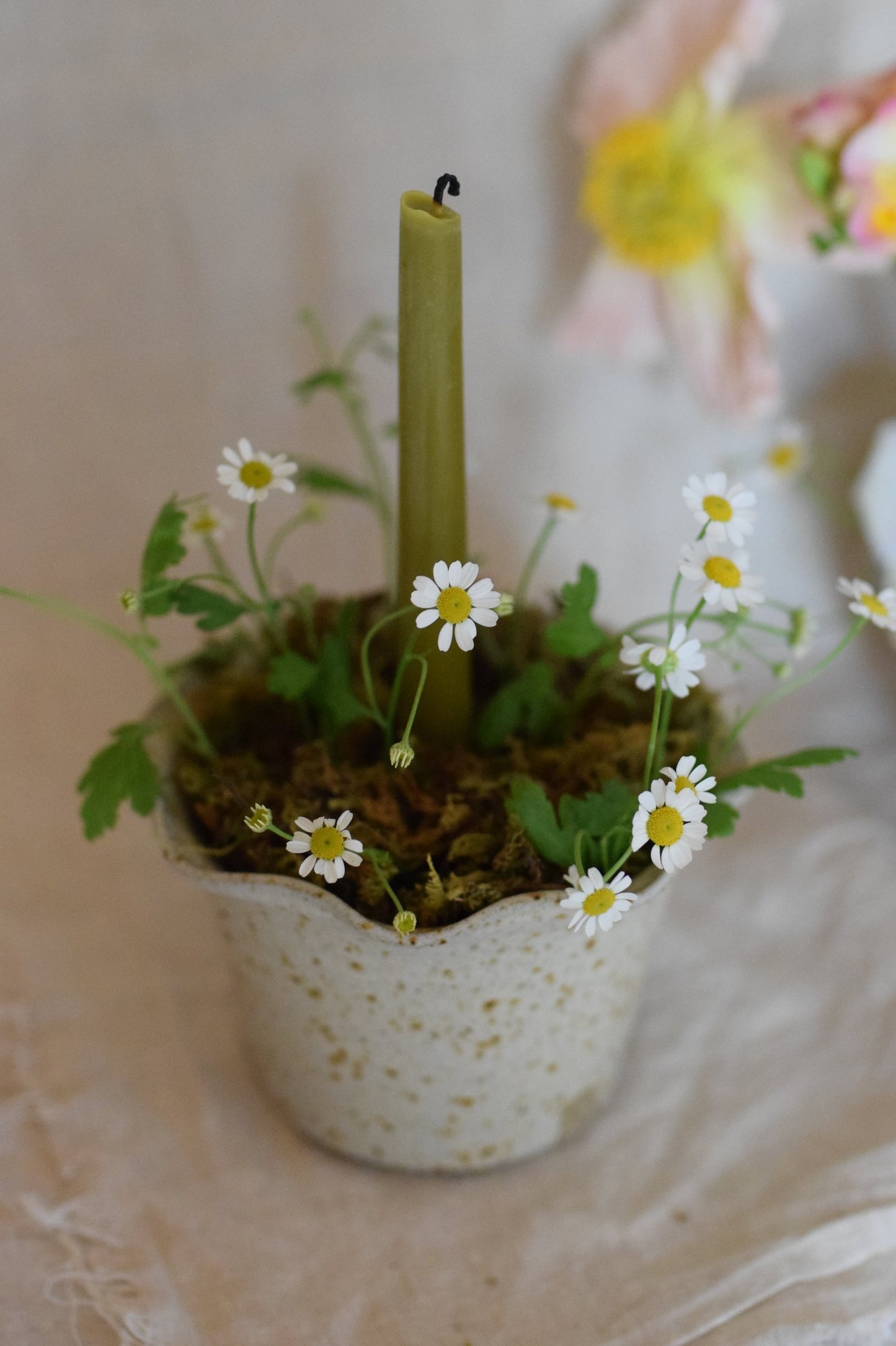 Wavy Planter