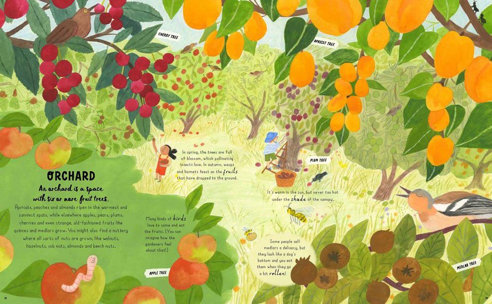 How To Grow A Garden