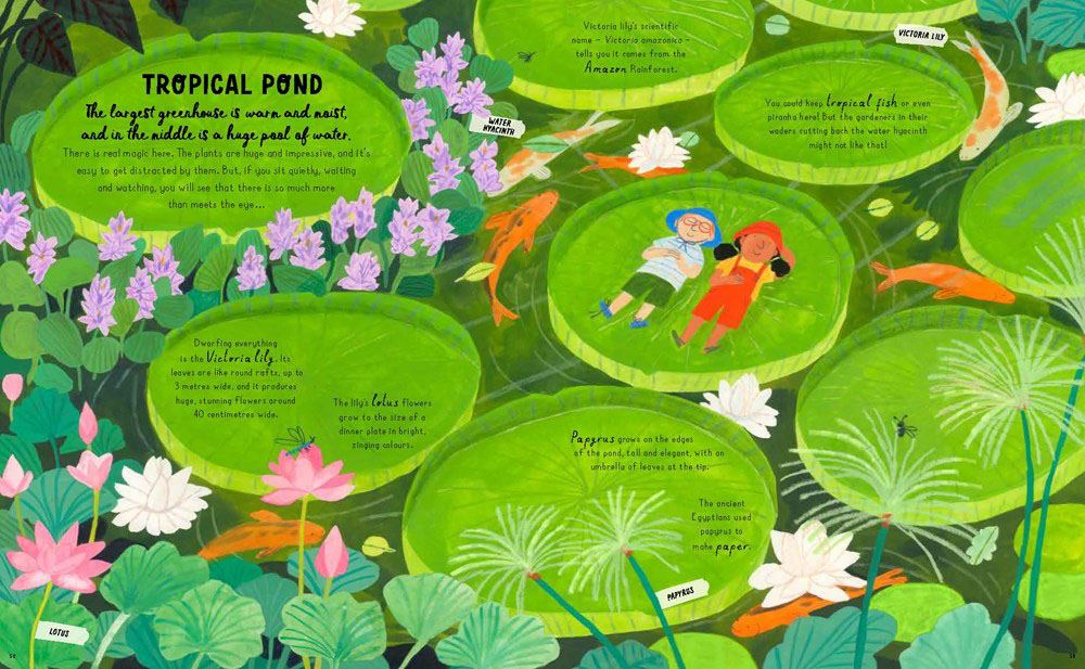 How To Grow A Garden
