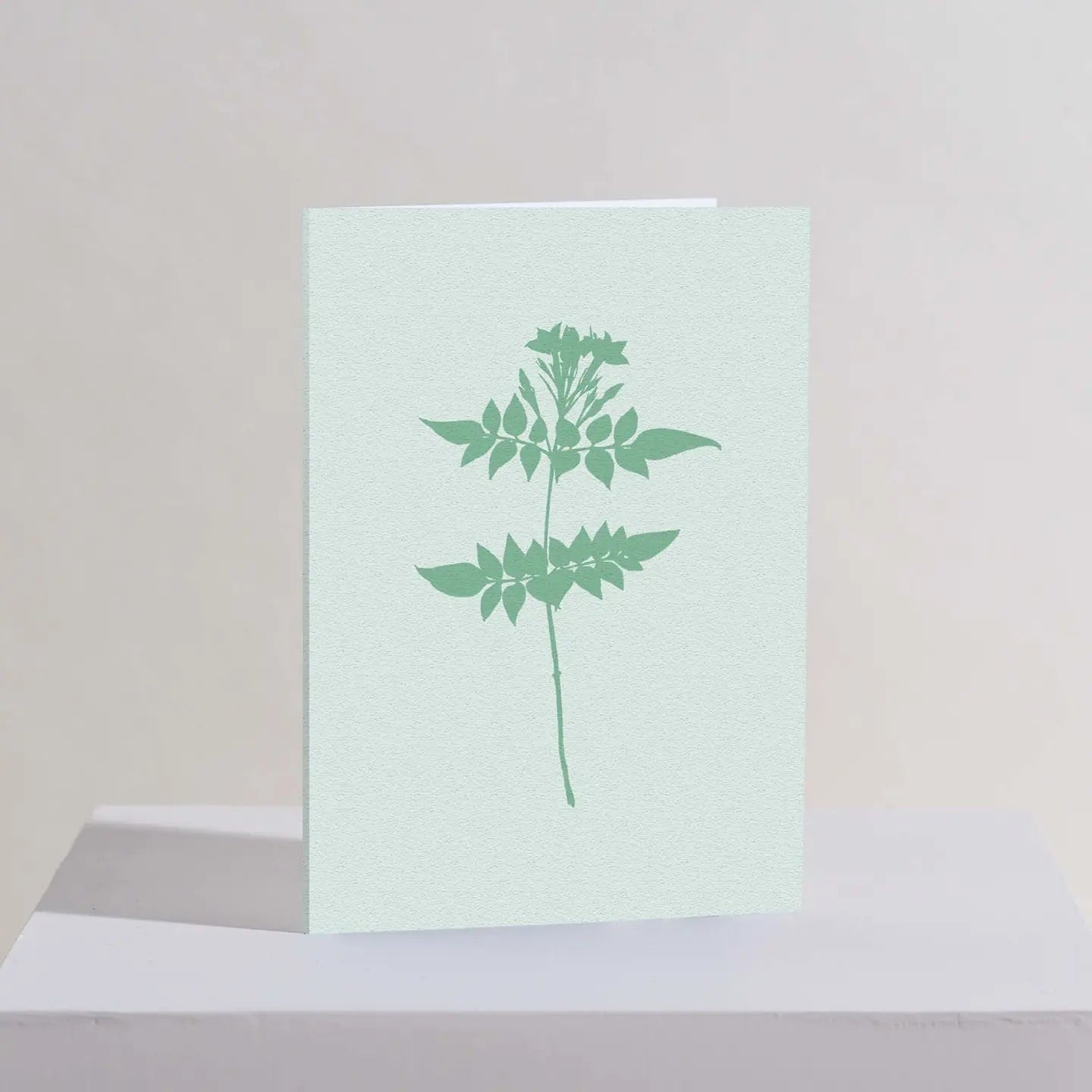 Jasmine Card