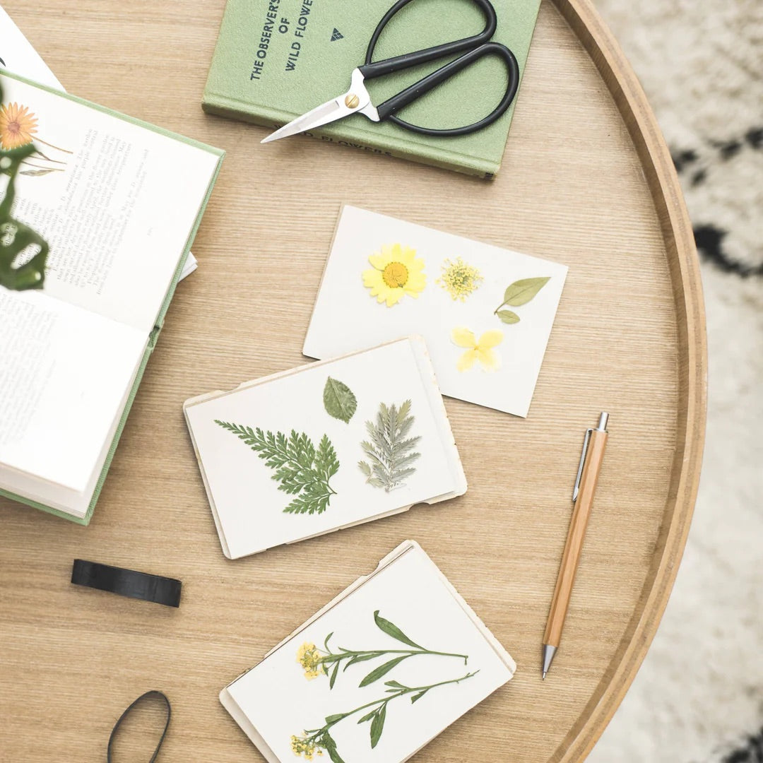 Pocket Flower Press - Forget Me Knot
