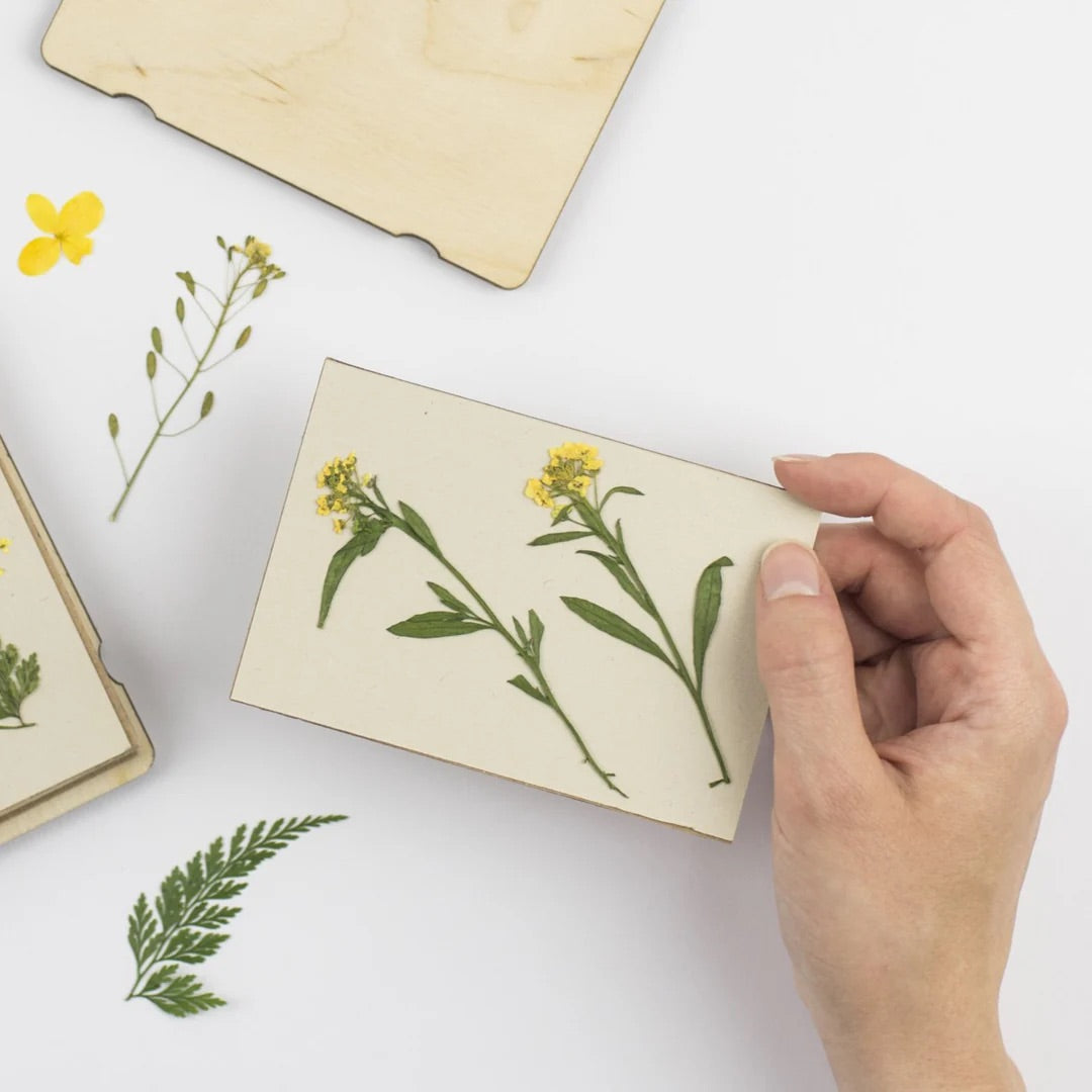 Pocket Flower Press - Forget Me Knot