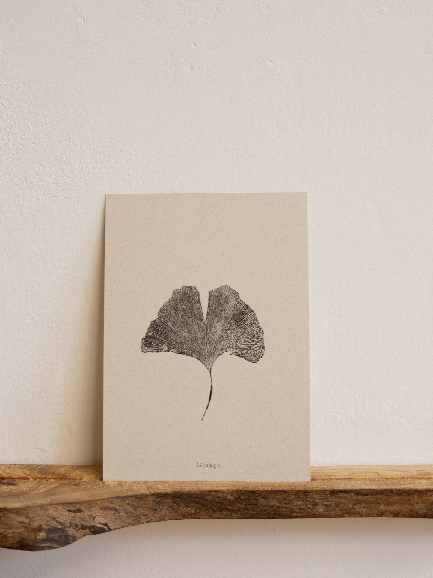 Ginkgo Leaf Botanical A5 Art Print   