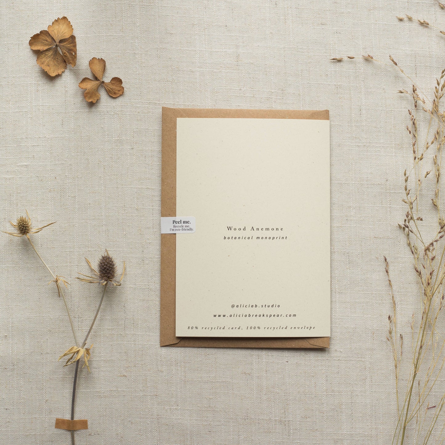 Wood Anemone Flower Greeting Card