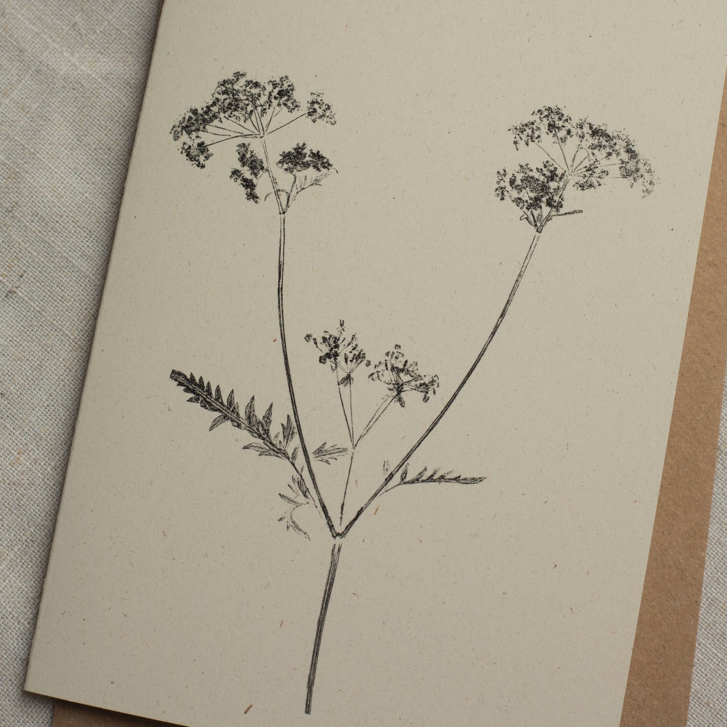 Cow Parsley Botanical Greeting Card