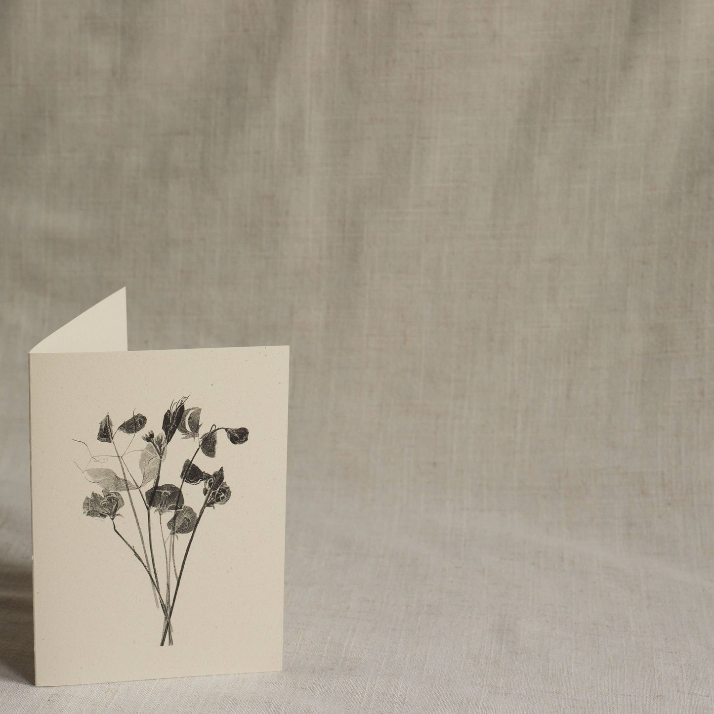 Sweet Peas Flower Greeting Card