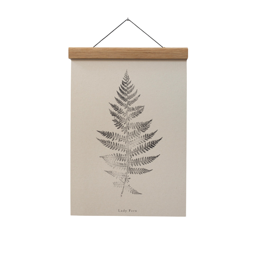A4 Botanical Art Print - Lady Fern 