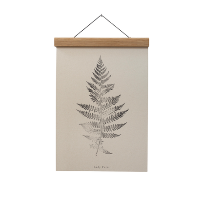A4 Botanical Art Print - Lady Fern 