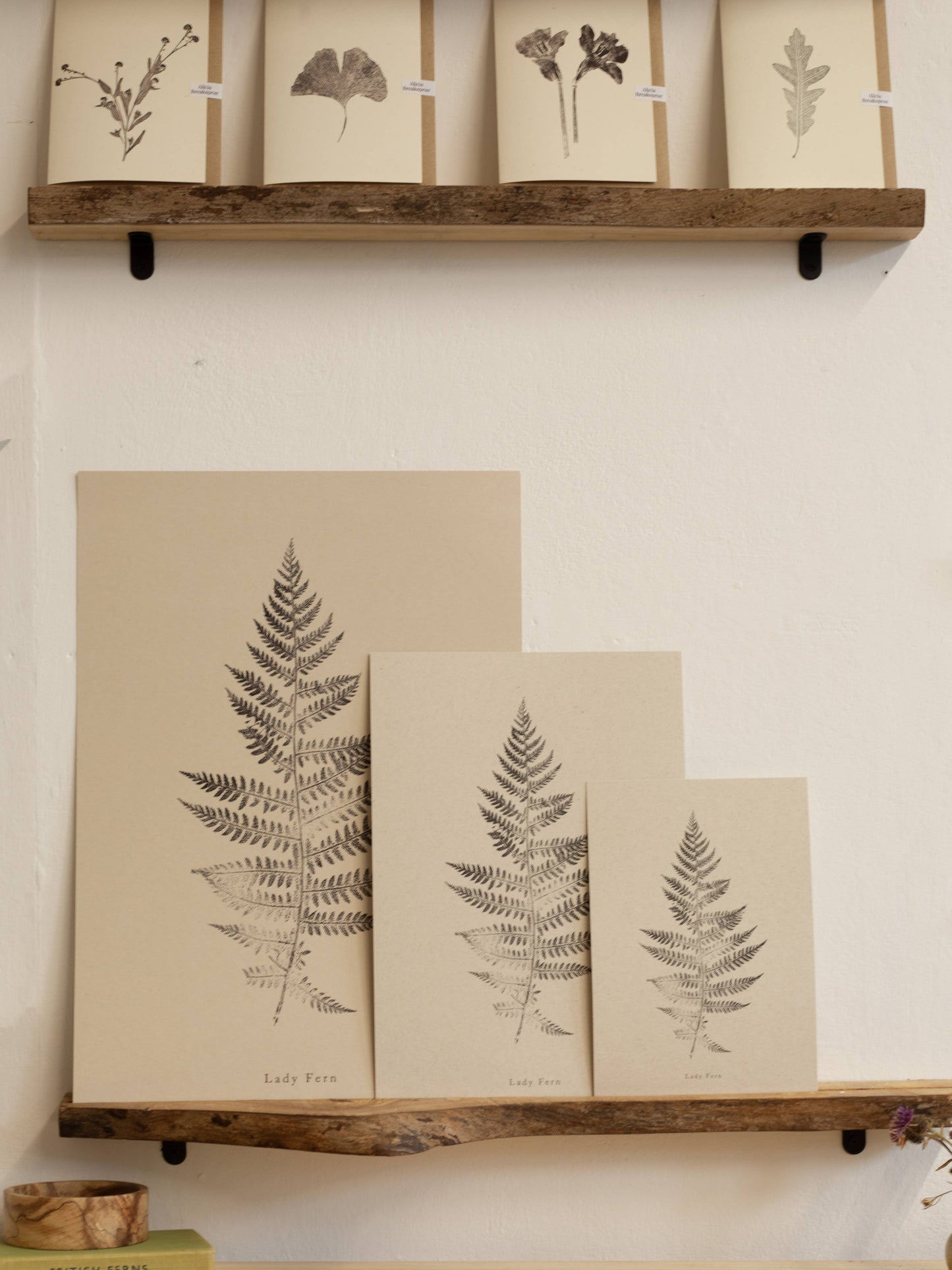 Lady Fern A5 Botanical Art Print