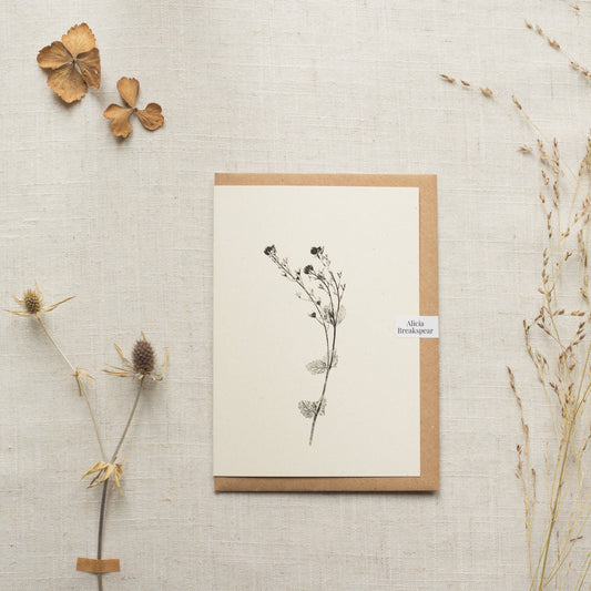 Speedwell Flower Card