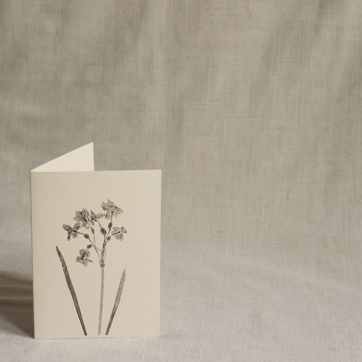 Narcissus Flower Greeting Card