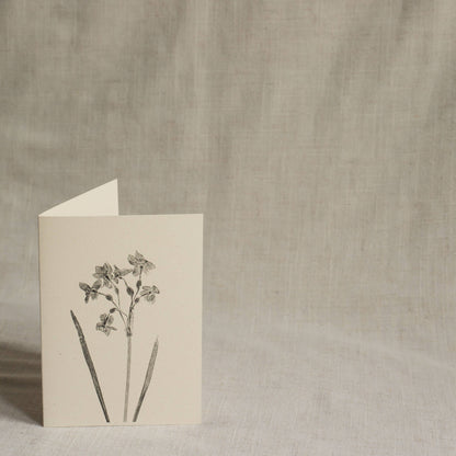 Narcissus Flower Greeting Card