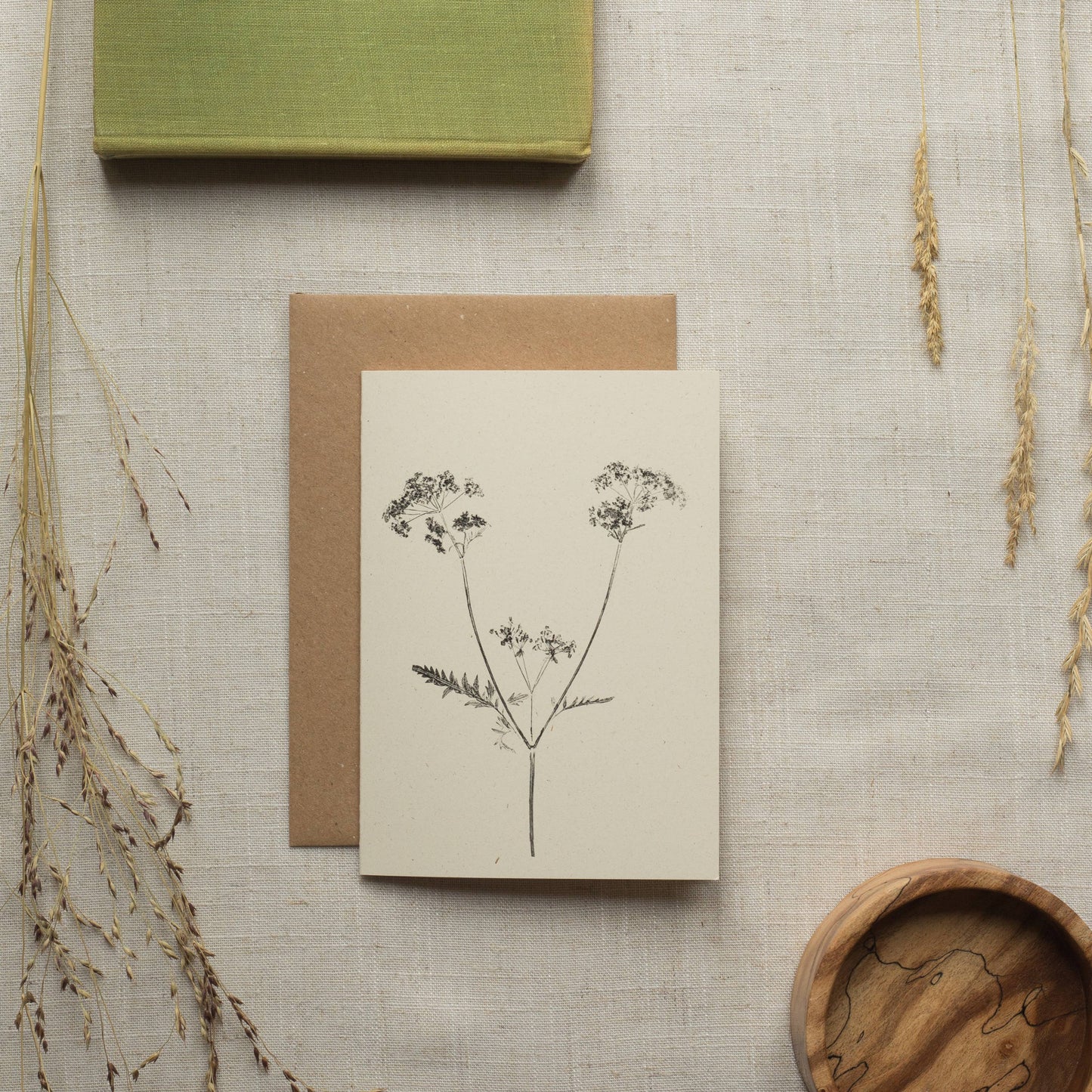 Cow Parsley Botanical Greeting Card