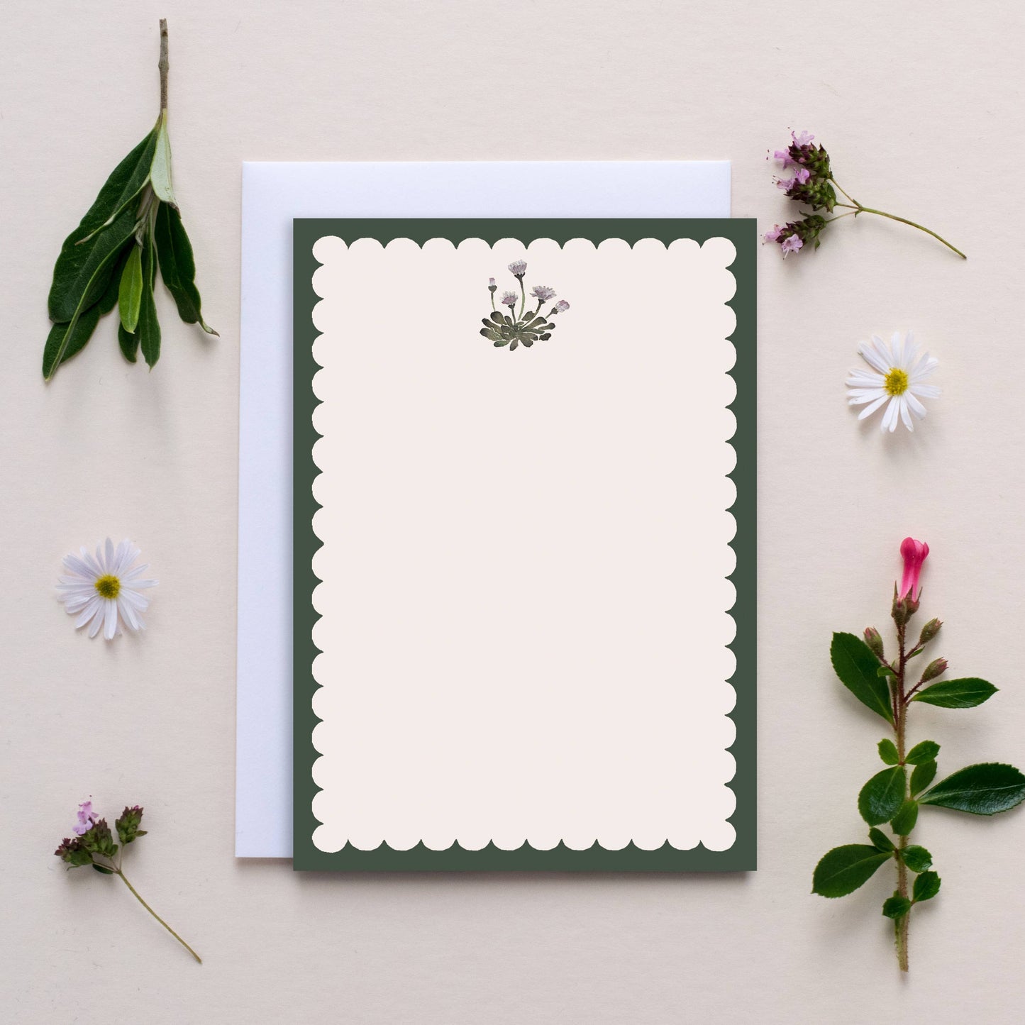 Daisy Scallop Notecards - Pack of 6