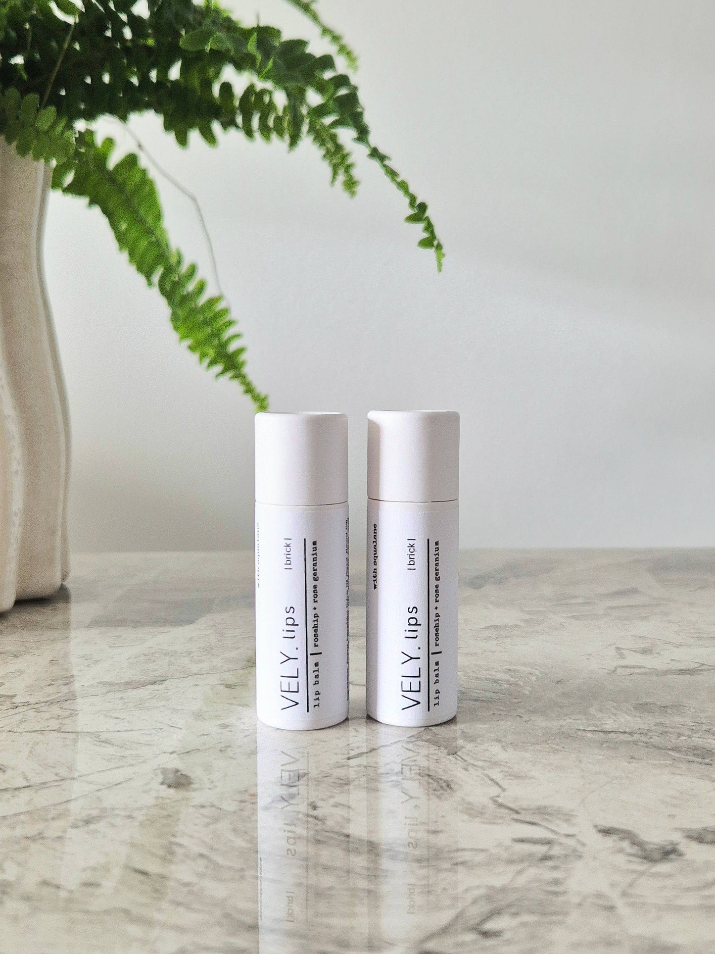 Natural Tinted Lip Balm- Brick