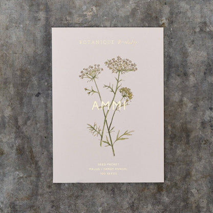 Ammi Majus Seed Packet