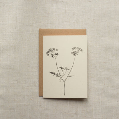 Cow Parsley Botanical Greeting Card